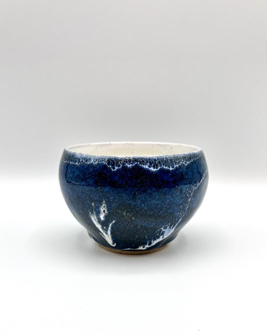 Small sea cup